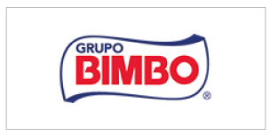 Banner Bimbo
